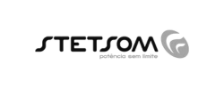 cinza_Logo Stetsom